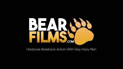 Riley - BEARFILMS Latino Bear Alessio Romero Breeds Riley Mitchel - drtuber